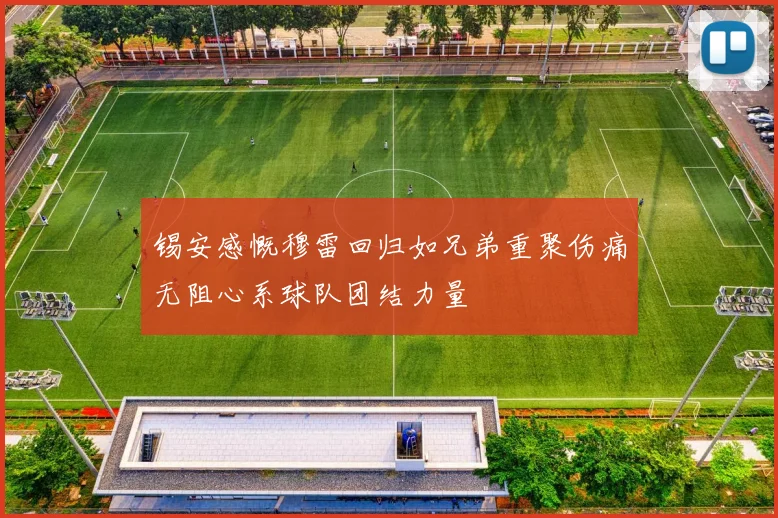 锡安感慨穆雷回归如兄弟重聚伤痛无阻心系球队团结力量