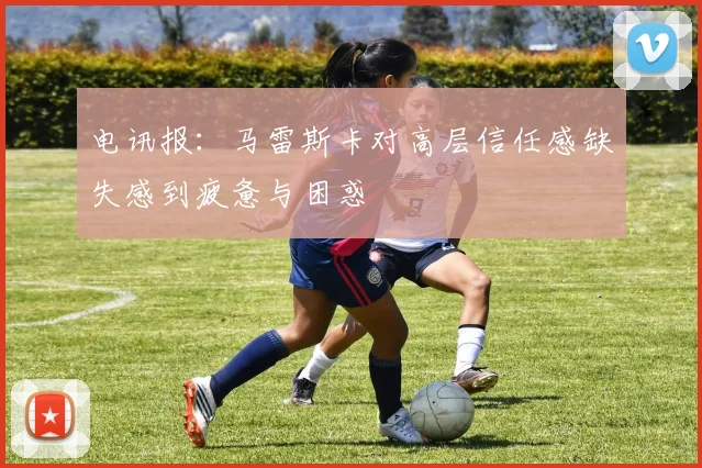 电讯报：马雷斯卡对高层信任感缺失感到疲惫与困惑