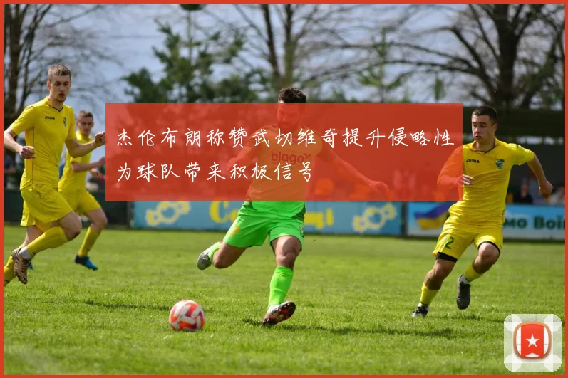 杰伦布朗称赞武切维奇提升侵略性为球队带来积极信号
