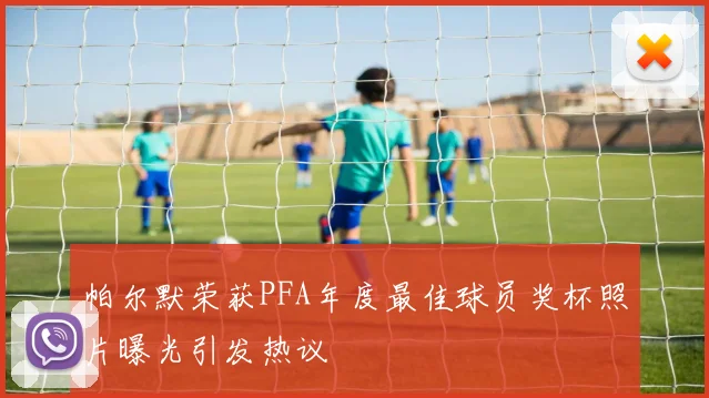 帕尔默荣获PFA年度最佳球员奖杯照片曝光引发热议