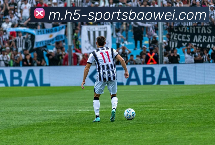 宝威体育平台生态图